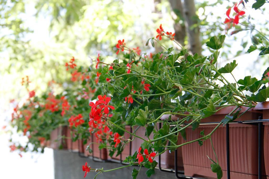 Casa Chamonin Gressan